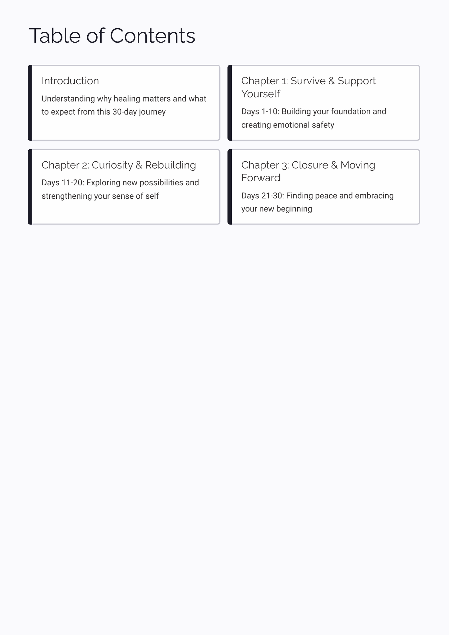 Table of contents for a healing journey program named Healing After a Breakup with chapter headings and brief descriptions.