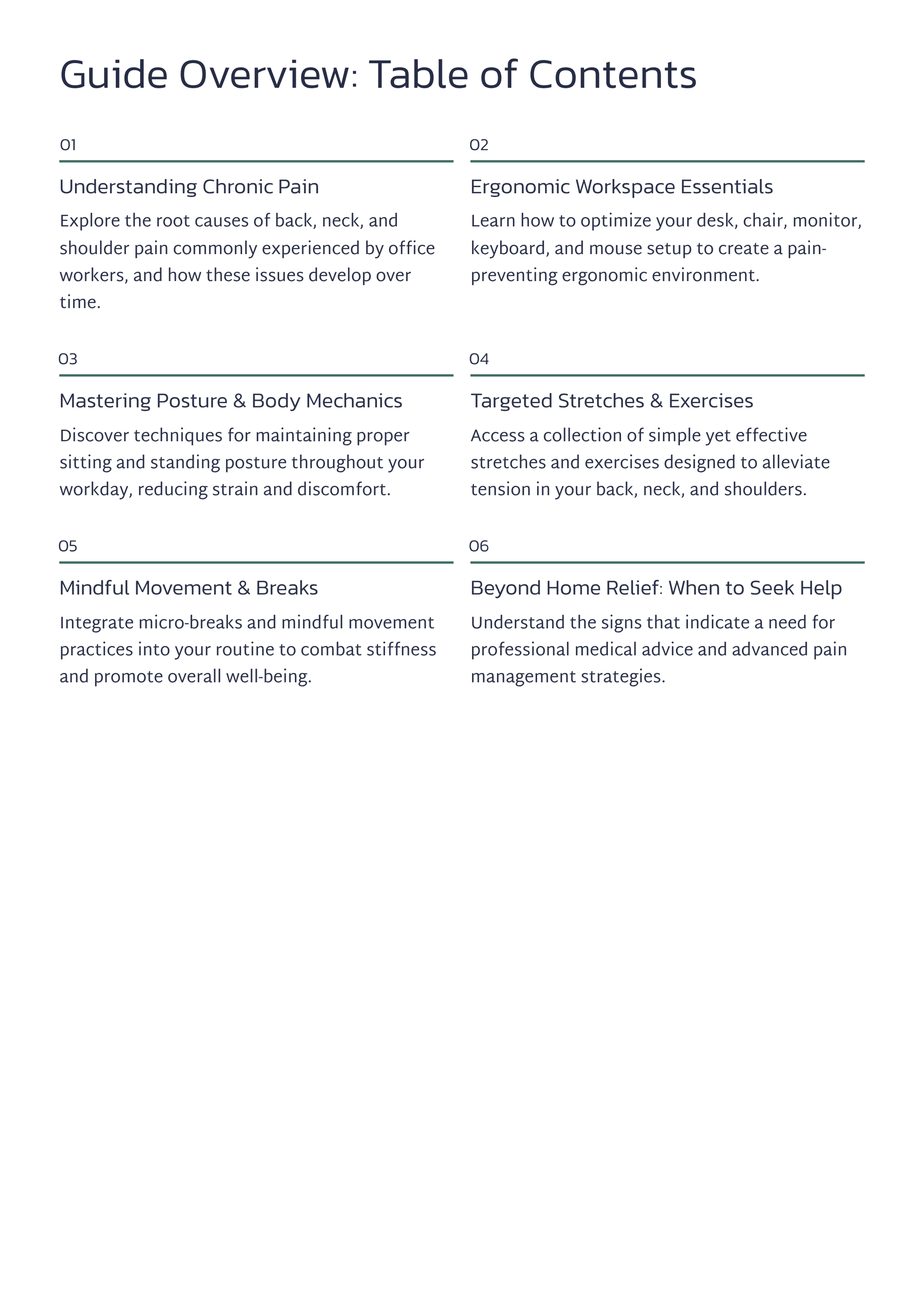 Table of contents for a guide on chronic pain management with sections on understanding chronic pain, ergonomic workspace essentials, mastering posture and bodily mechanics, targeted stretches and exercises, and mindfull movement breaks.