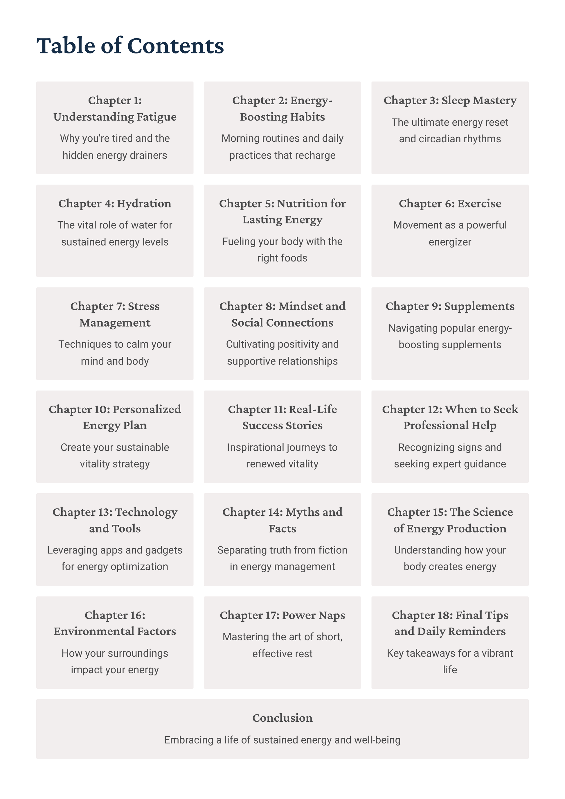 Table of contents for a book on energy management with chapter titles and brief descriptions.