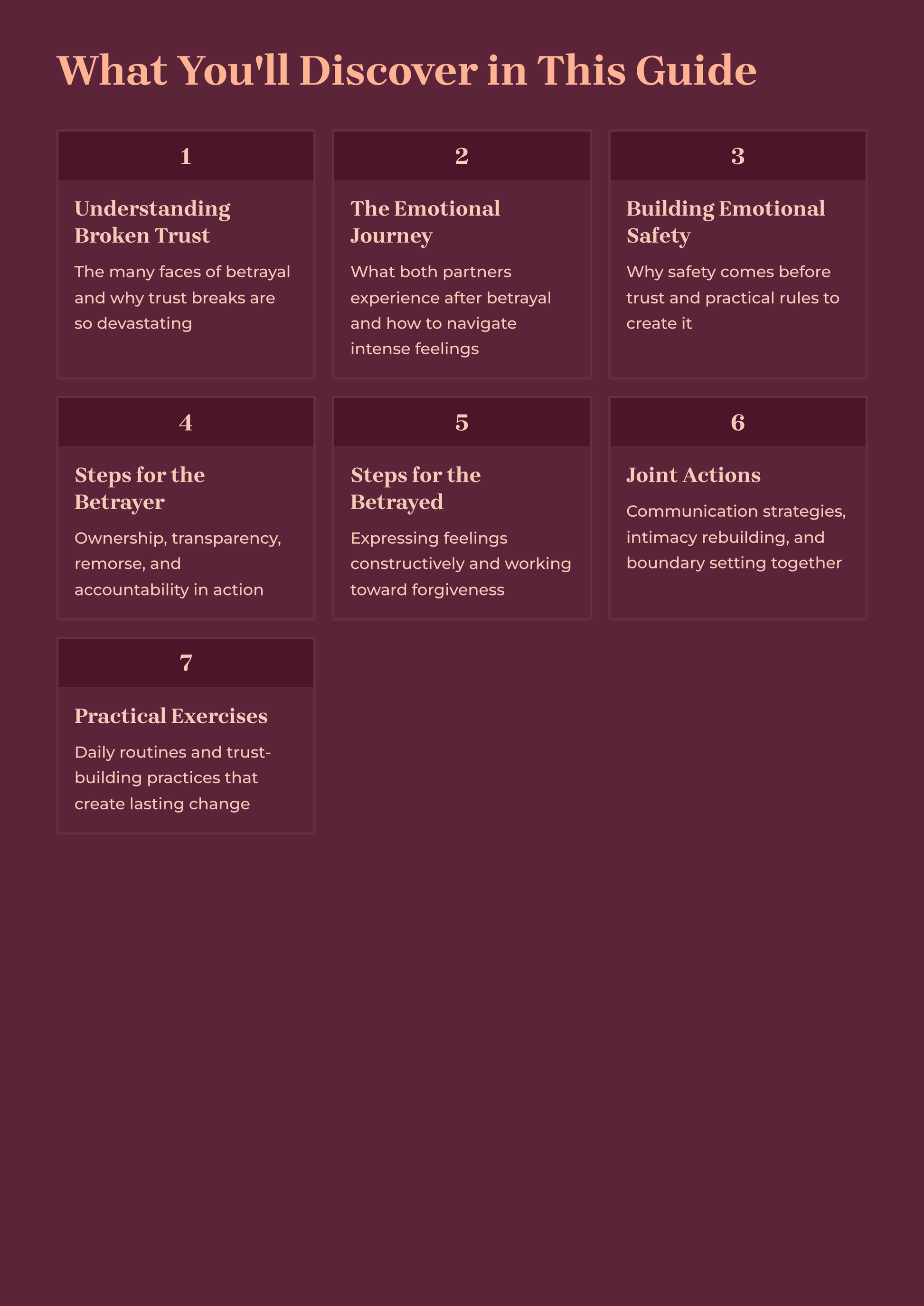 Table of contents for a guide on understanding broken trust and betrayal, with sections on emotional journey, safety, steps for the betrayer, and more.